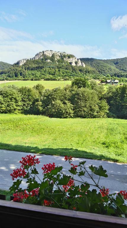 Penzion Manin Považská Bystrica Esterno foto
